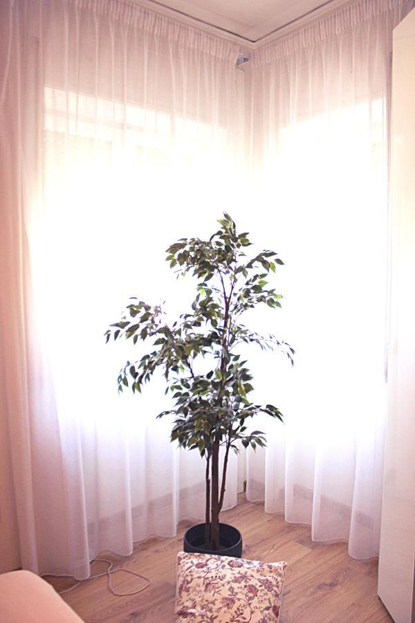 马奥莱Casa Roro别墅 外观 照片